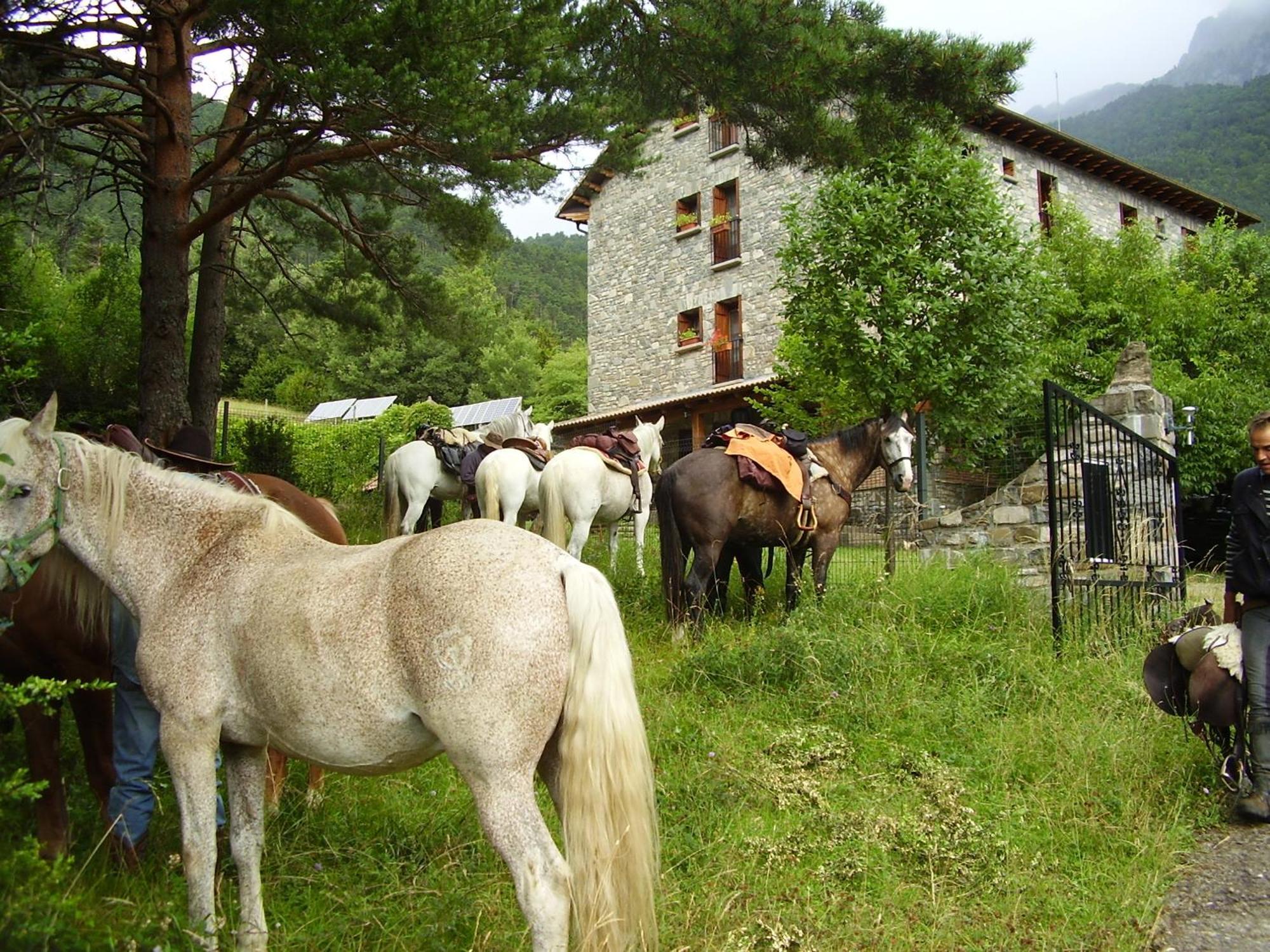 Hotel De Montana Uson Hecho Eksteriør bilde